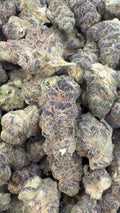Strawberry Cough Indoor Minis - Bulk Minis - Sativa