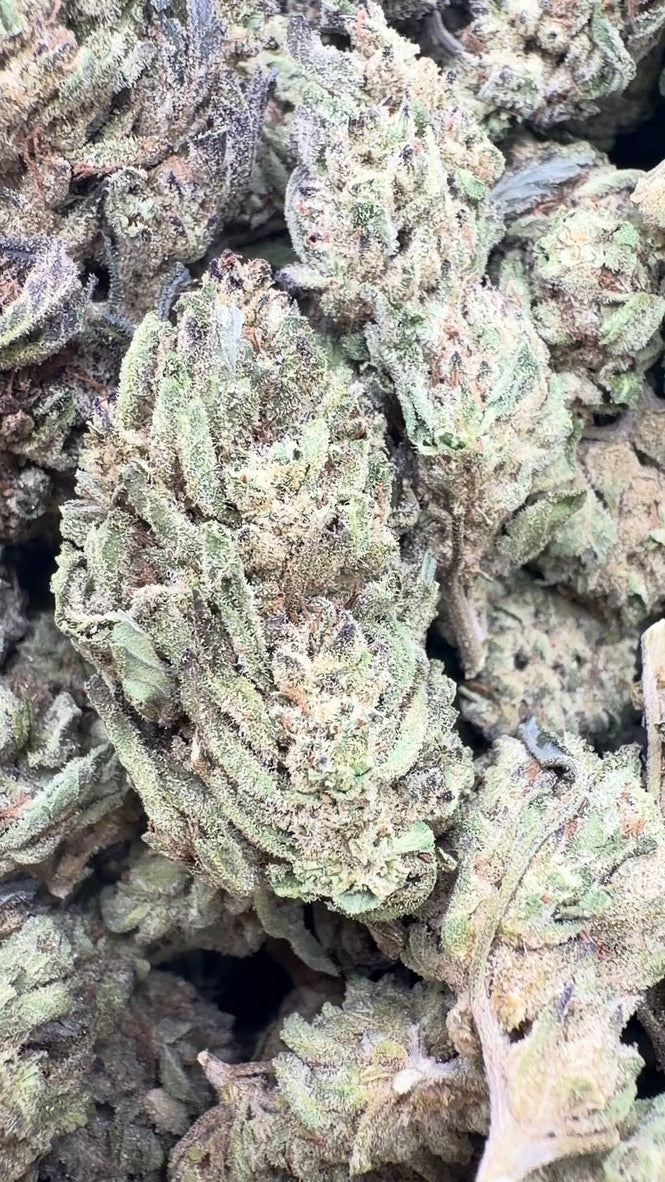 Berry White - Bulk - Hybrid