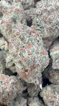 Papaya Runtz Indoor - Bulk - Hybrid