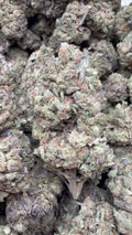 Modified Mintz - Bulk - Indica